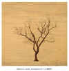 ARBRE.jpg (44268 octets)